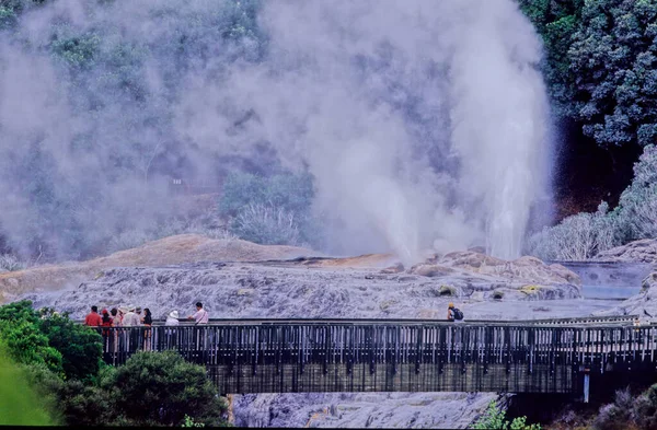 Pohutu Geyser Gêiser Vale Térmico Whakarewarewa Rotorua Ilha Norte Nova — Fotografia de Stock