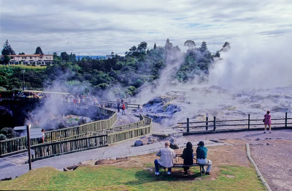 Pohutu Geyser Een Geiser Whakarewarewa Thermal Valley Rotorua Het Noordereiland — Stockfoto