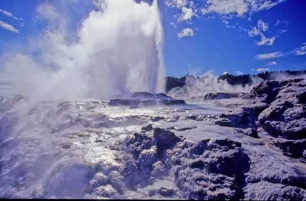 Pohutu Geyser Geyser Whakarewarewa Thermal Valley Rotorua North Island New — Stock Photo, Image