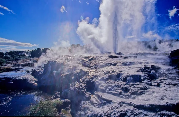 Pohutu Gejzír Gejzír Termálním Údolí Whakarewarewa Rotorua Severním Ostrově Nového — Stock fotografie