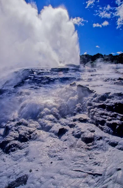 Pohutu Geyser Egy Gejzír Whakarewarewa Thermal Valley Ben Rotoruában Zéland — Stock Fotó