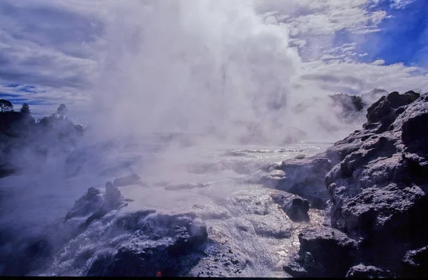 ポフトゥガイザー Pohutu Geyser ニュージーランド北島ロトルアのWhakarewarewaサーマルバレーの間欠泉です — ストック写真