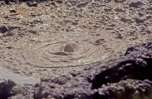 Waiotapu Yeni Zelanda Nın Taupo Volkanik Bölgesi Nde Rapor Kalderasının — Stok fotoğraf