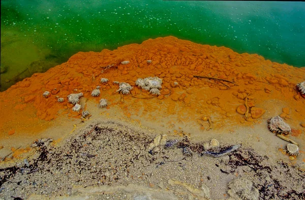 Waiotapu Mori Egy Aktív Geotermikus Terület Okatainai Vulkanikus Központ Déli — Stock Fotó