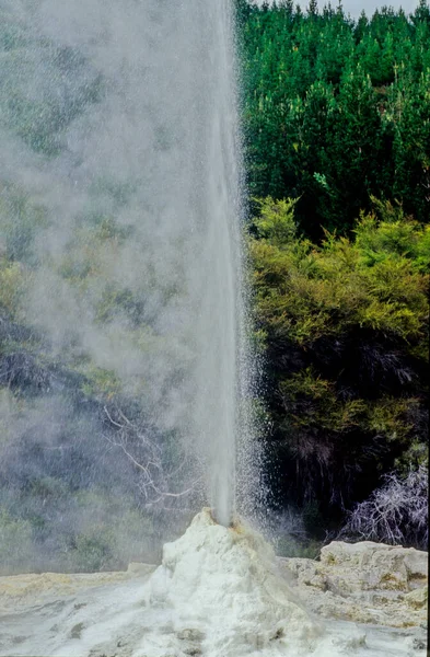 Pohutu Geyser Гейзер Тепловій Долині Вакарева Роторуа Північному Острові Нової — стокове фото