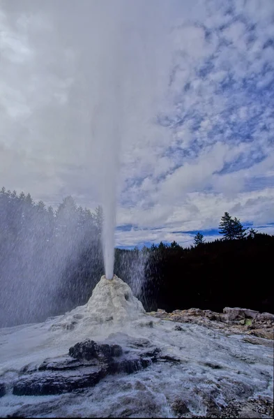 Pohutu Geyser Een Geiser Whakarewarewa Thermal Valley Rotorua Het Noordereiland — Stockfoto