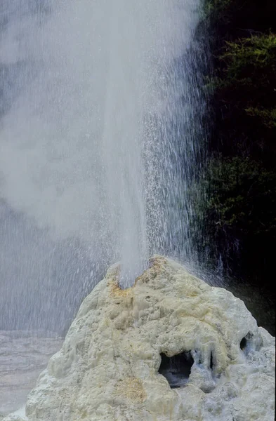 Pohutu Geyser Gêiser Vale Térmico Whakarewarewa Rotorua Ilha Norte Nova — Fotografia de Stock