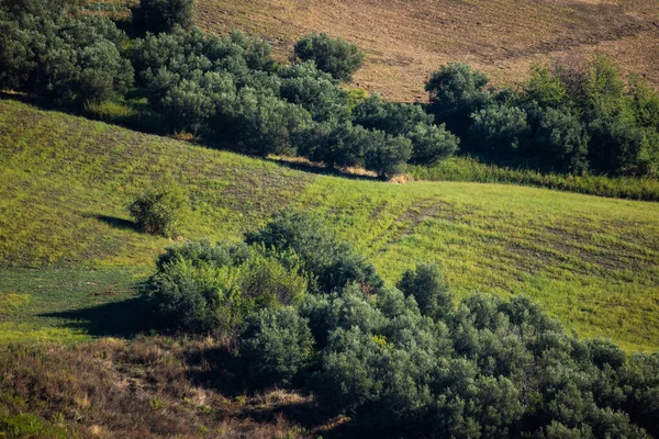 Atessa Kommun Provinsen Chieti Abruzzo Sydöstra Italien — Stockfoto