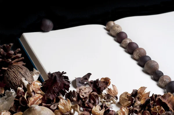 dizüstü bilgisayar