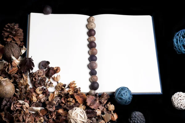 dizüstü bilgisayar