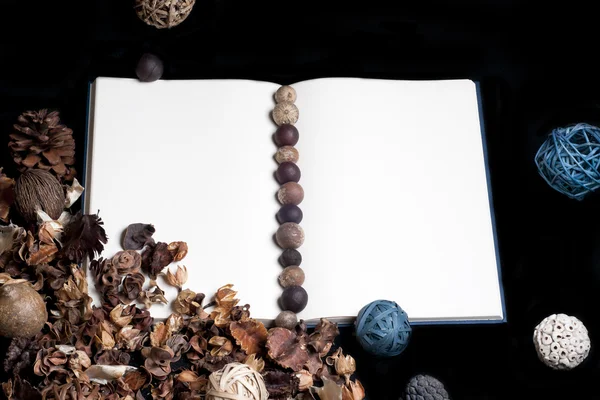 sonbahar bir defter uygunluğunu