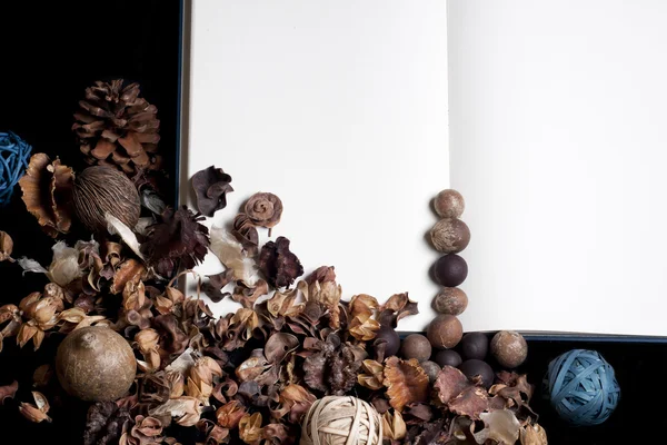 dizüstü bilgisayar