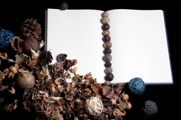 dizüstü bilgisayar