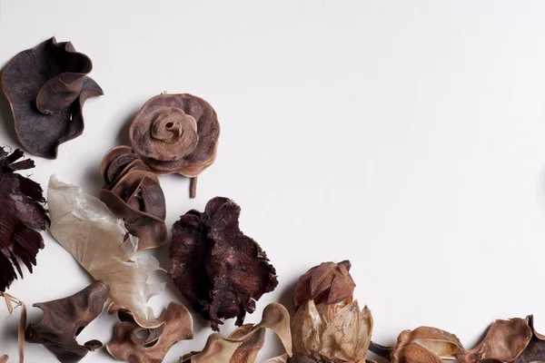 bir sonbahar uygunluğunu