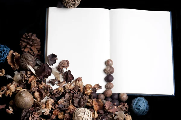 dizüstü bilgisayar