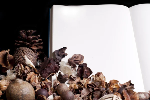 dizüstü bilgisayar