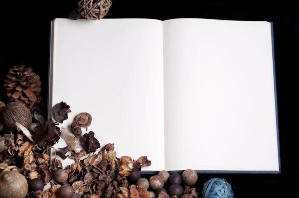 dizüstü bilgisayar