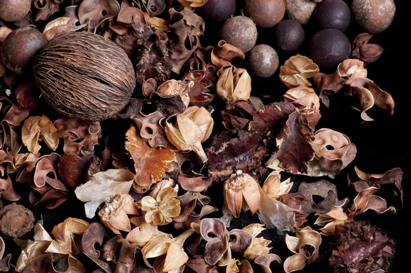 sonbahar bir arka plan