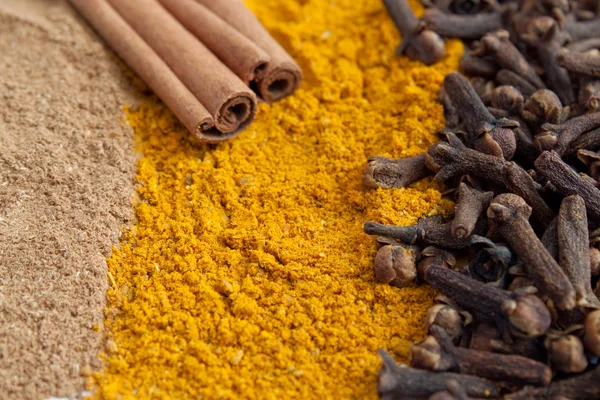 Palitos de canela y clavos de olor en canela molida y curry — Foto de Stock