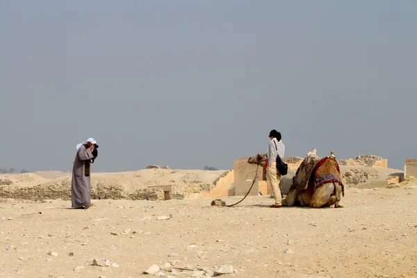 Bedouin taking picture of tourist with camel — Stock Photo, Image