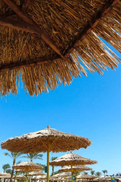 Visa under ett parasoll på stranden — Stockfoto