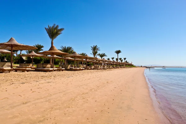Пляж Красного моря — стоковое фото