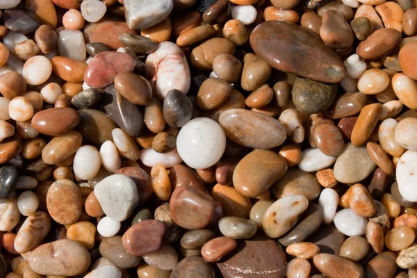 Wet pebbles — Stock Photo, Image