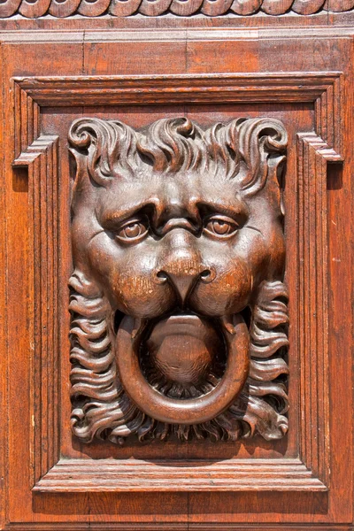 Frappe à la porte à tête de lion — Photo