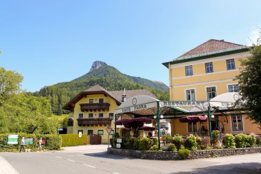 Fuschl am görmek