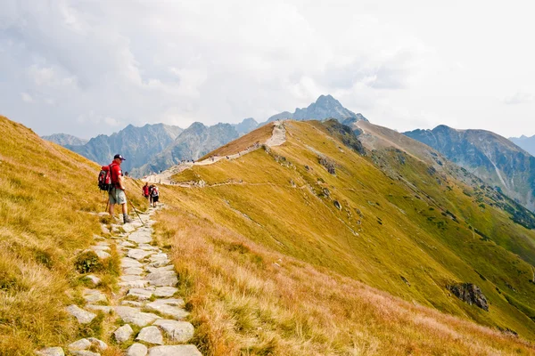 Senderista en las montañas de Tatra —  Fotos de Stock