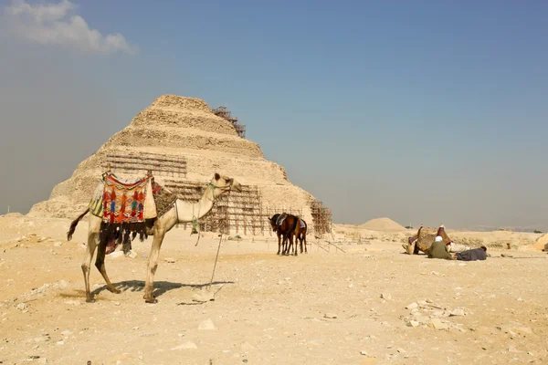 Die schrittpyramide des djoser in saqqara, ägypten — Stockfoto