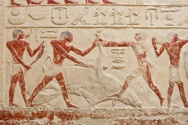An ancient egyptian relief in Saqqara. — Stock Photo, Image