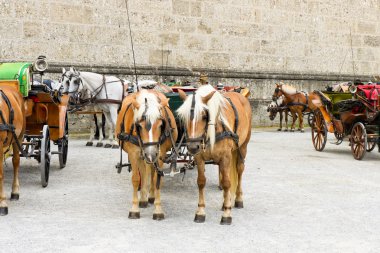 at odaklı arabaları Salzburg