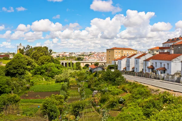 Gemüsegärten auf der Straße vila nova de gaia, porto, por — Stockfoto