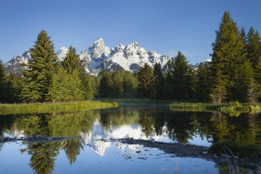 sabah güneşi ağaçlarda ve havuz ile Grand teton Dağları