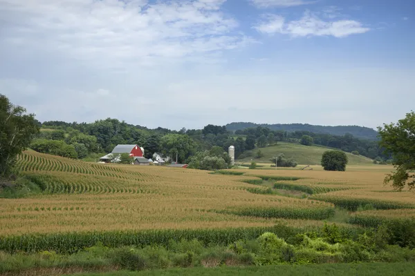 Wisconsin farm piros pajta és a kukorica mező — Stock Fotó