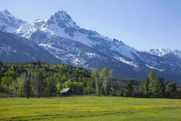 wyoming grand teton dağlarında aşağıda at ahır ahır