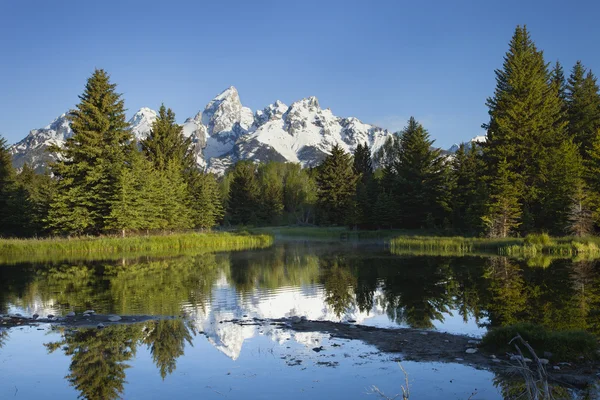 Sabah güneşi ağaçlarda ve havuz ile Grand teton Dağları — Stok fotoğraf