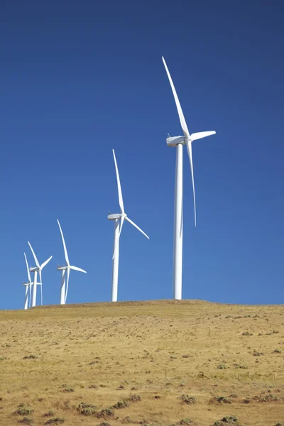 Wind turbines along the Columbia River Gorge — Stock Photo, Image