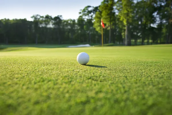 Fechar a bola de golfe no verde — Fotografia de Stock