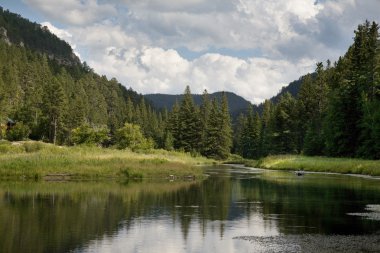 Alabalık dere black Hills Güney Dakota