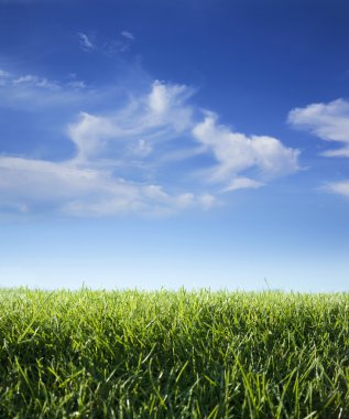 Low angle view of grass and sky with clouds