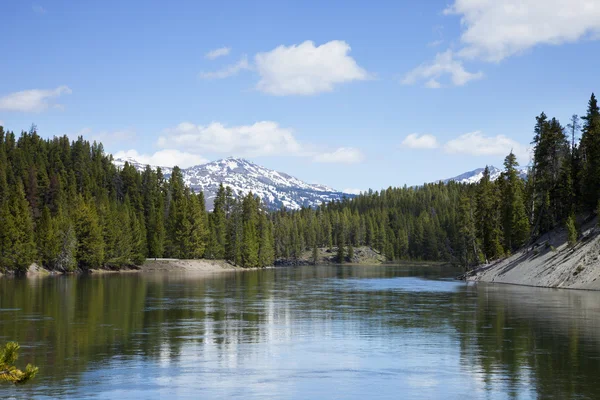 Een bocht in de rivier de yellowstone op een zonnige middag — Stockfoto