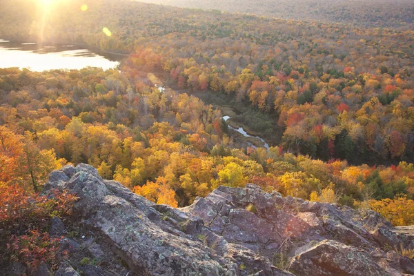 Arbres d'automne colorés dans la lumière tôt le matin — Photo