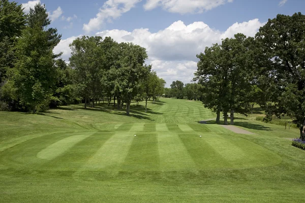 Golf fairway z drzew na słoneczny dzień — Zdjęcie stockowe