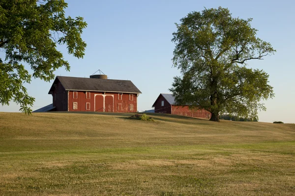 Oude rode schuren in ohio — Stockfoto