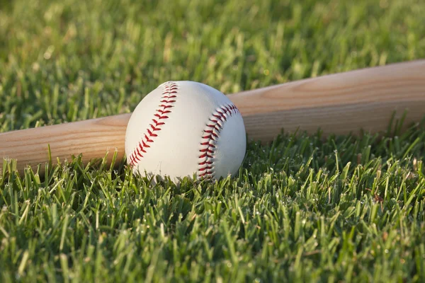 Baseball and bat on grass field in the morning sunlight — Stock Photo, Image