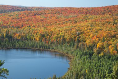 Gölün kuzey Minnesota'da tepeler üzerinde renkli sonbahar ağaçlar