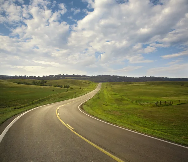 弯曲的道路，在南达科他州布莱克丘陵 — 图库照片