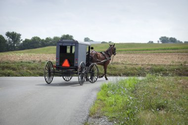 Amish buggy lancaster county Pennsylvania'da bir köşe döner